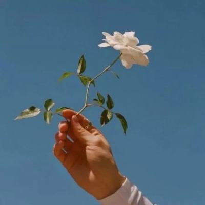 西门子：数据中心直流配电领域的...